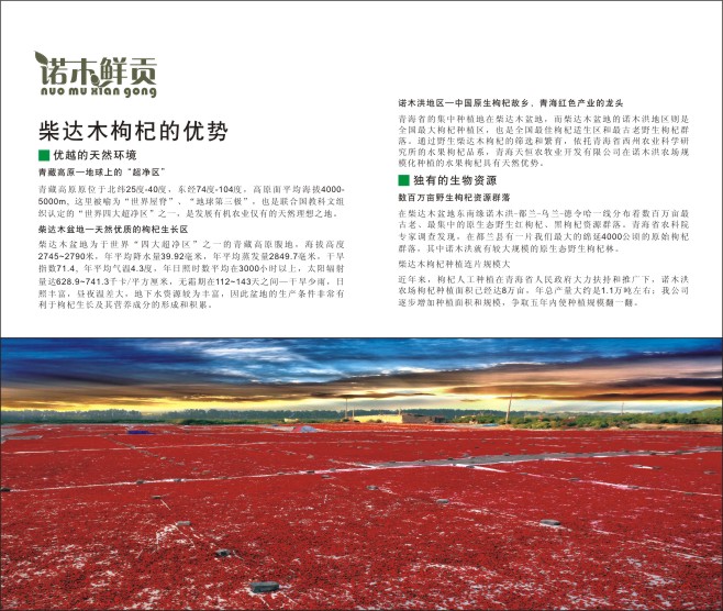 &#21315;&#20159;&#23448;&#32593;&#45;&#21315;&#20159;&#65288;&#20013;&#22269;&#65289;&#19968;&#31449;&#24335;&#26381;&#21153;&#23448;&#32593;